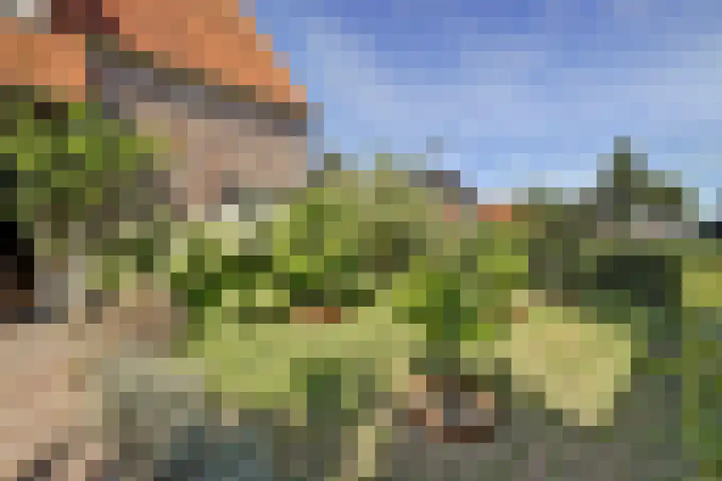 Eburonenhof 6 Maasbree thumbnail 71