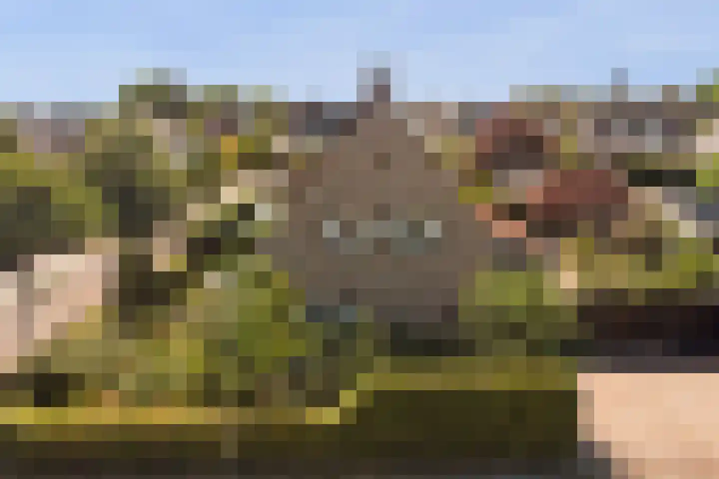 Eburonenhof 6 Maasbree thumbnail 75