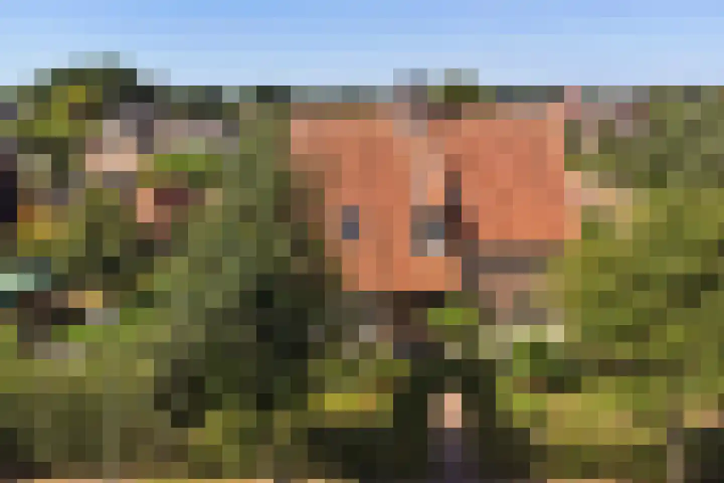 Eburonenhof 6 Maasbree thumbnail 78