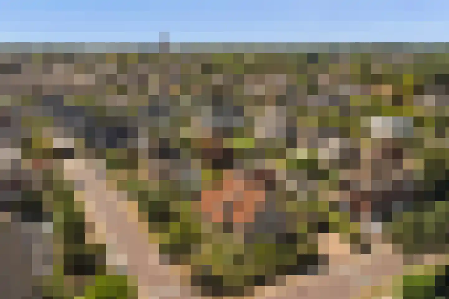 Eburonenhof 6 Maasbree thumbnail 79