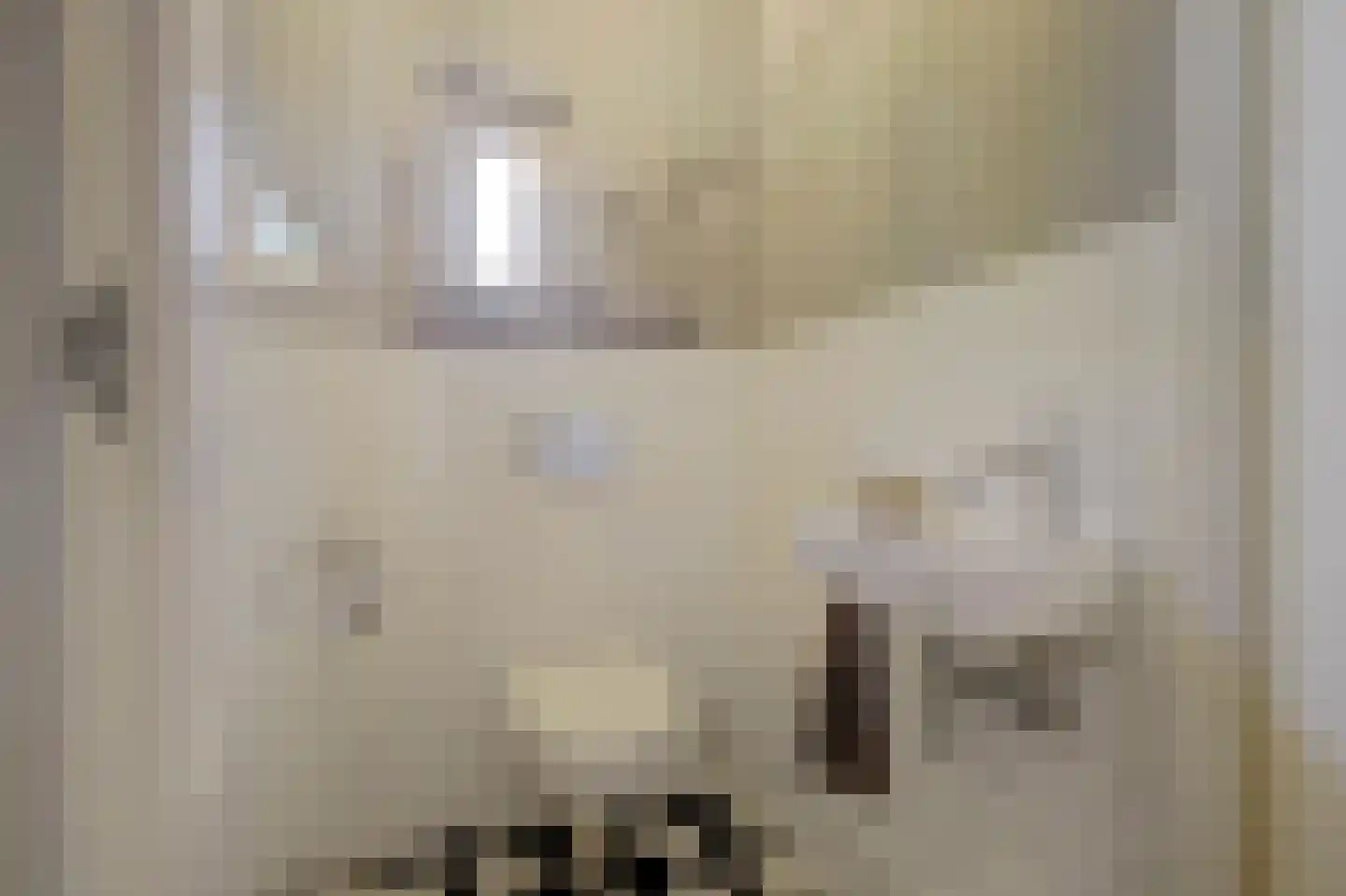 Eburonenhof 6 Maasbree thumbnail 8