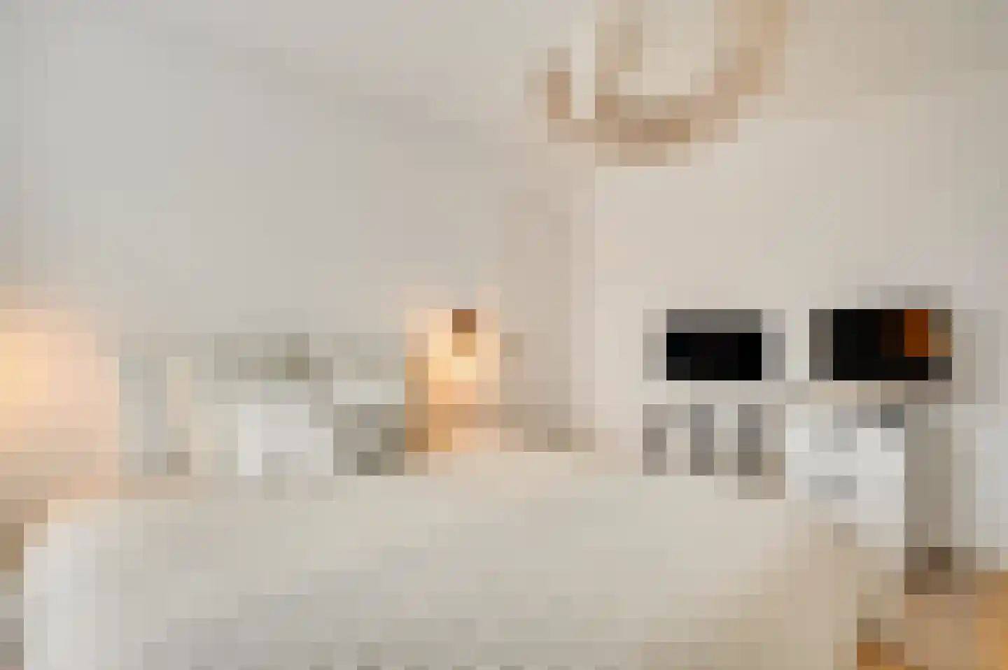 Eburonenstraat 1 Meerssen thumbnail 12