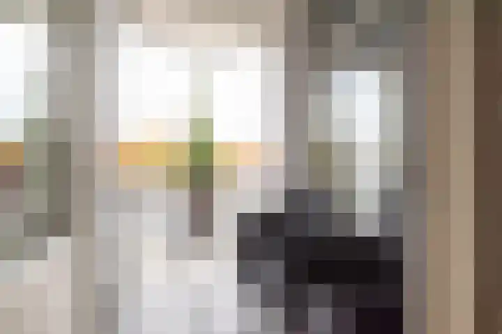 Eburonenstraat 121 Apeldoorn thumbnail 12