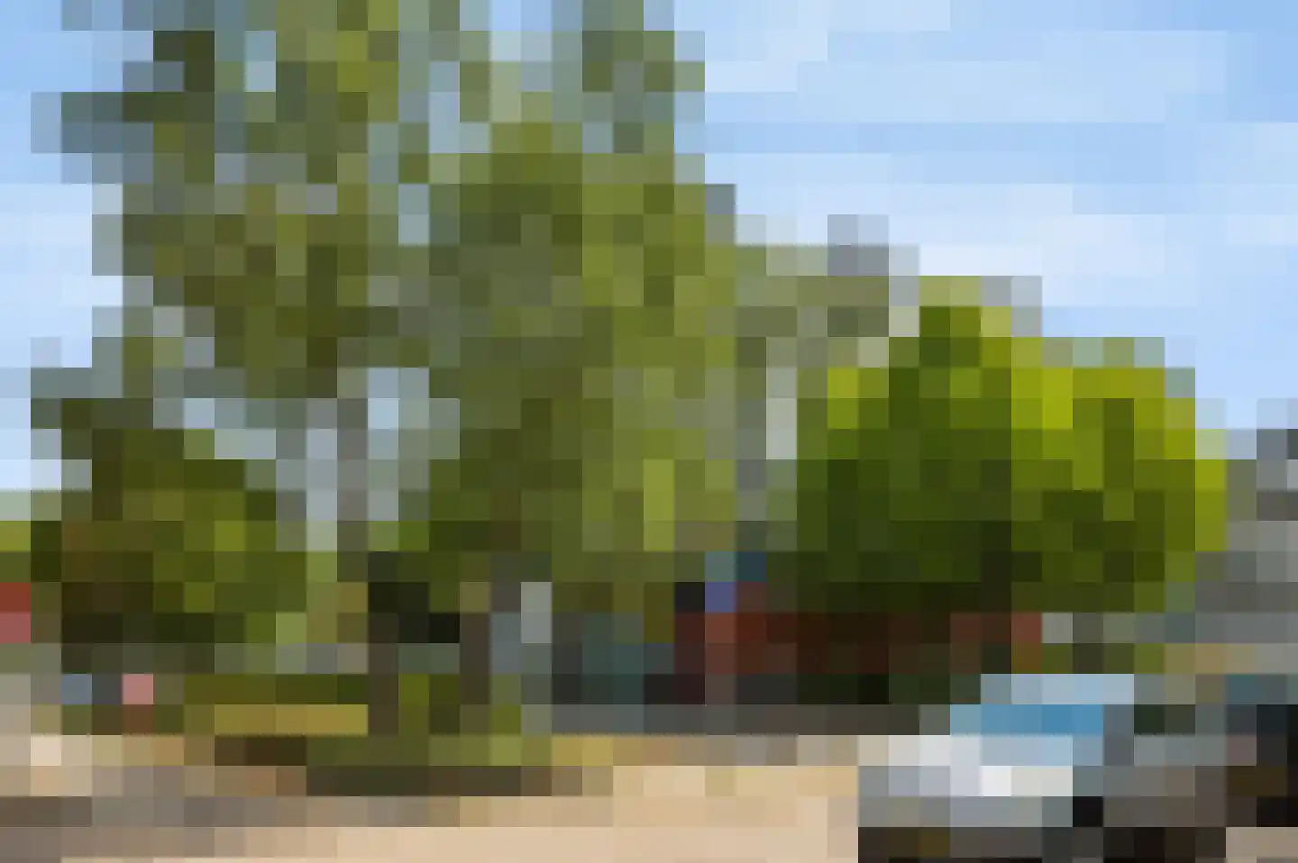 Eburonenstraat 133 Apeldoorn thumbnail 25