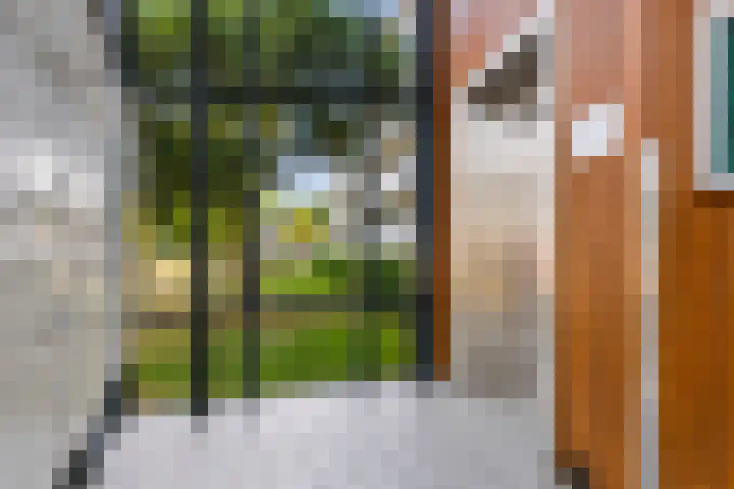 Eburonenstraat 133 Apeldoorn thumbnail 8
