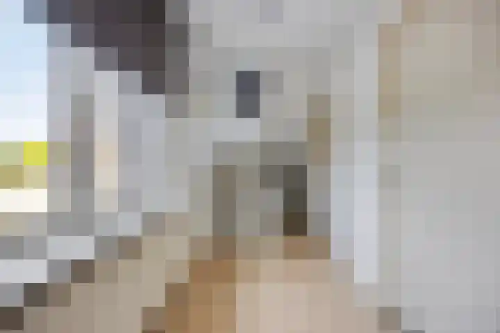 Eburonenstraat 2 Meerssen thumbnail 17