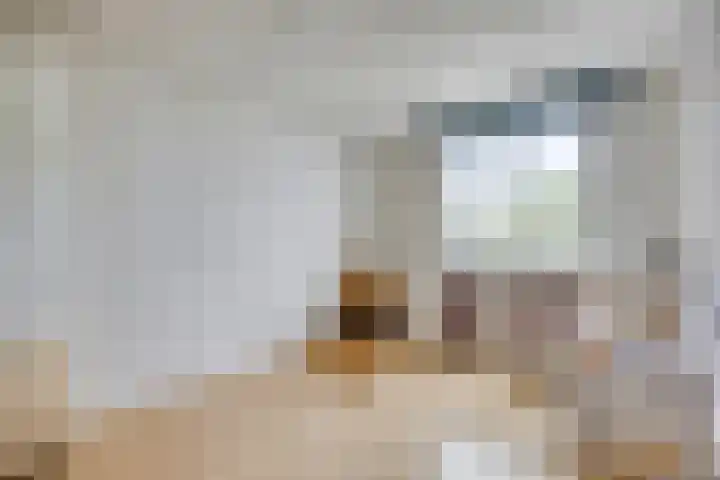 Eburonenstraat 2 Meerssen thumbnail 22