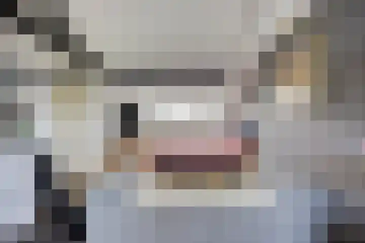 Eburonenstraat 2 Meerssen thumbnail 25