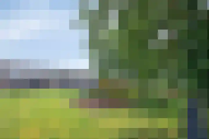 Eburonenstraat 2 Meerssen thumbnail 33