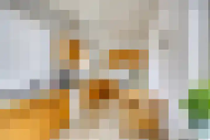 Eburonenstraat 2 Meerssen thumbnail 9
