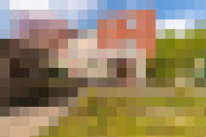 Eburonenstraat 21 Sittard thumbnail 37