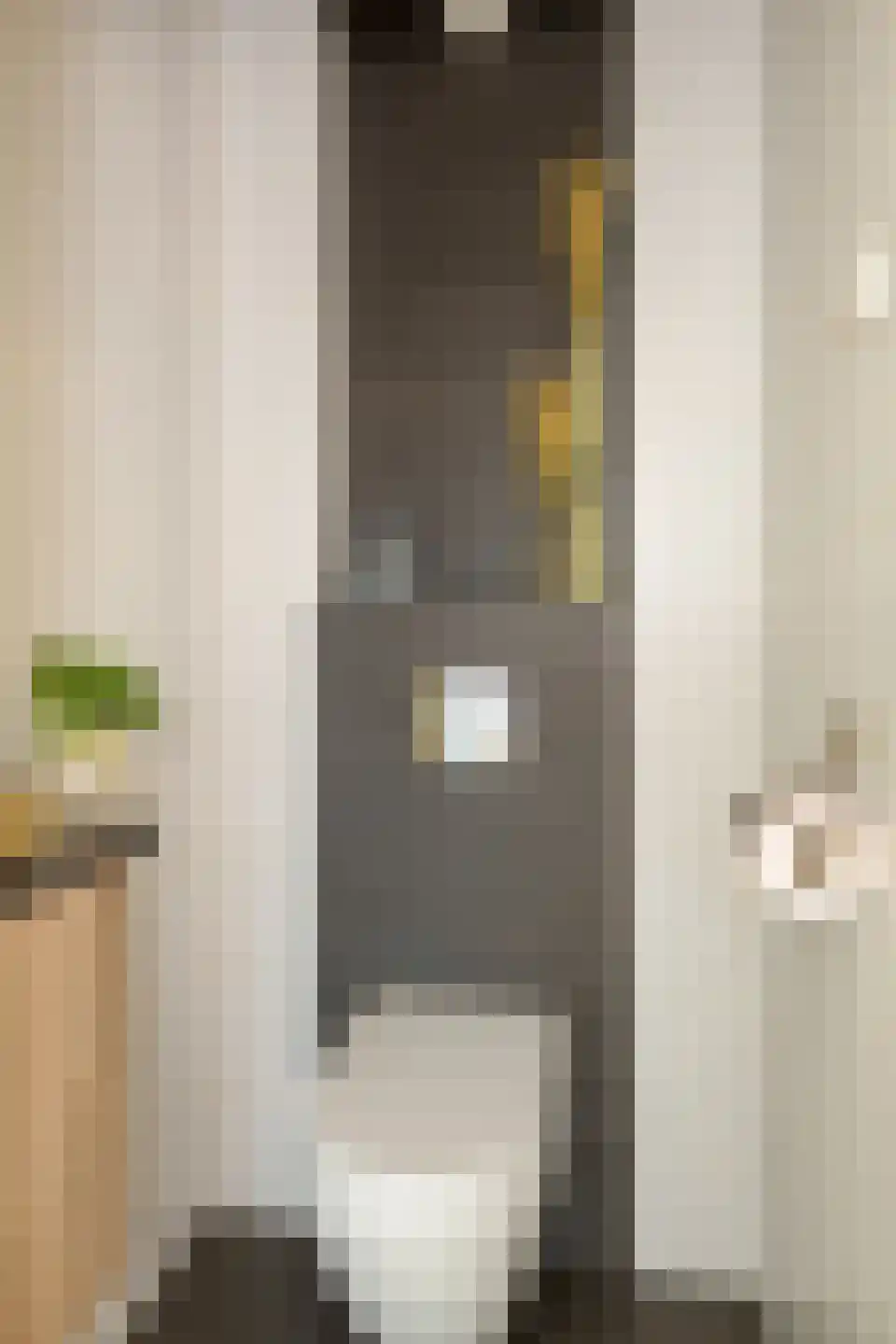Eburonenstraat 41 Apeldoorn thumbnail 10