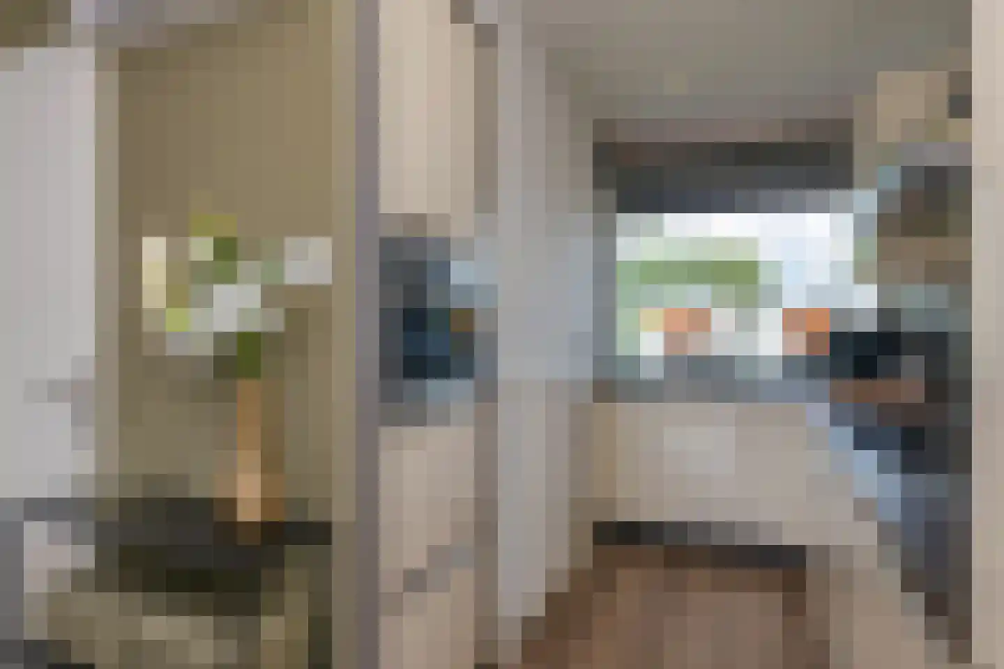 Eburonenstraat 41 Apeldoorn thumbnail 11