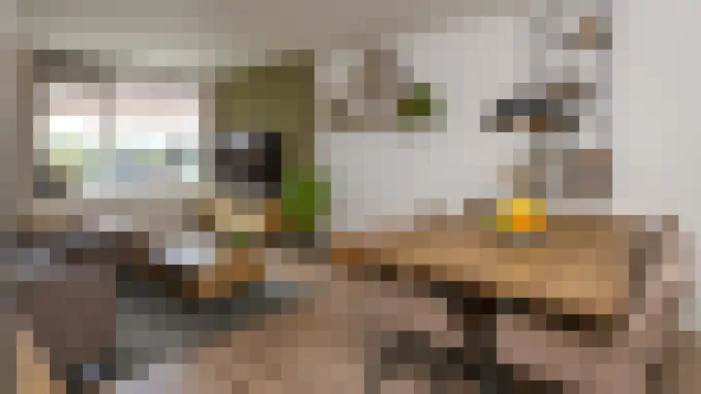 Eburonenstraat 41 Apeldoorn thumbnail 15