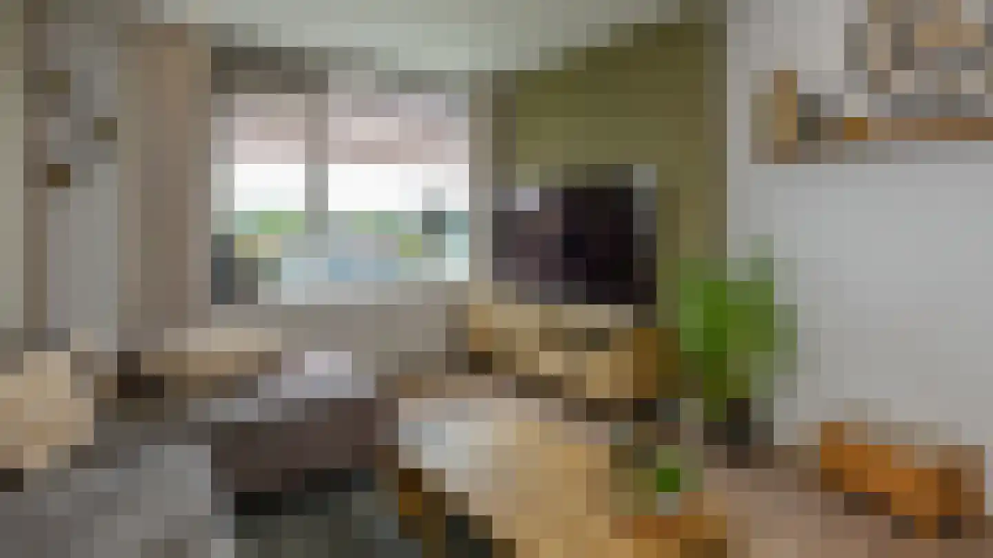 Eburonenstraat 41 Apeldoorn thumbnail 16