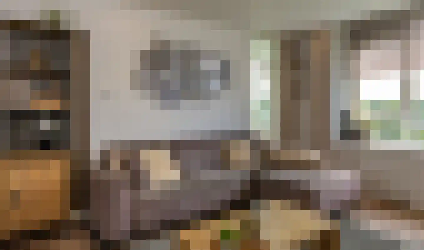Eburonenstraat 41 Apeldoorn thumbnail 17