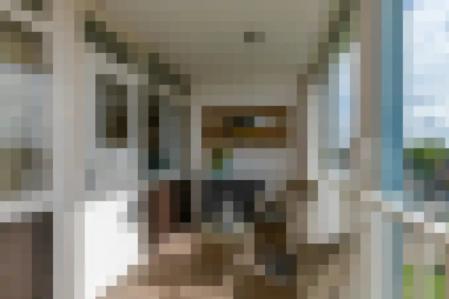 Eburonenstraat 41 Apeldoorn thumbnail 19