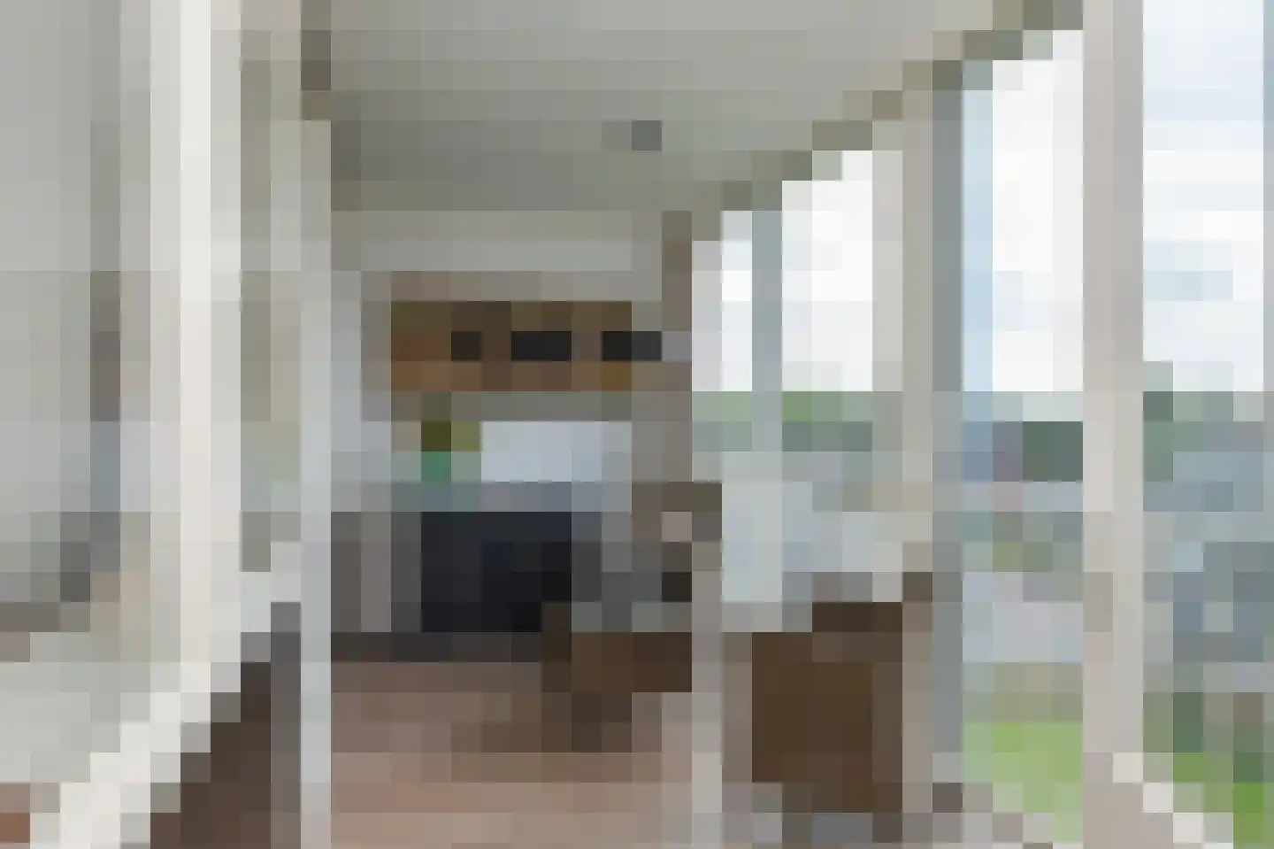 Eburonenstraat 41 Apeldoorn thumbnail 20