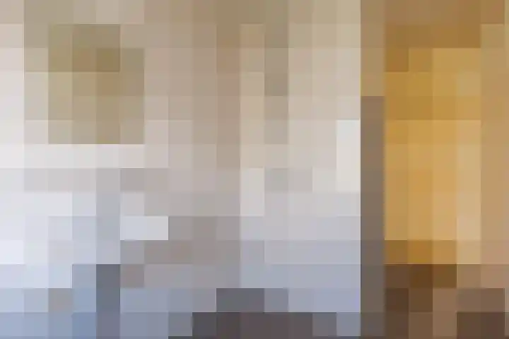 Eburonenstraat 43 Apeldoorn thumbnail 14
