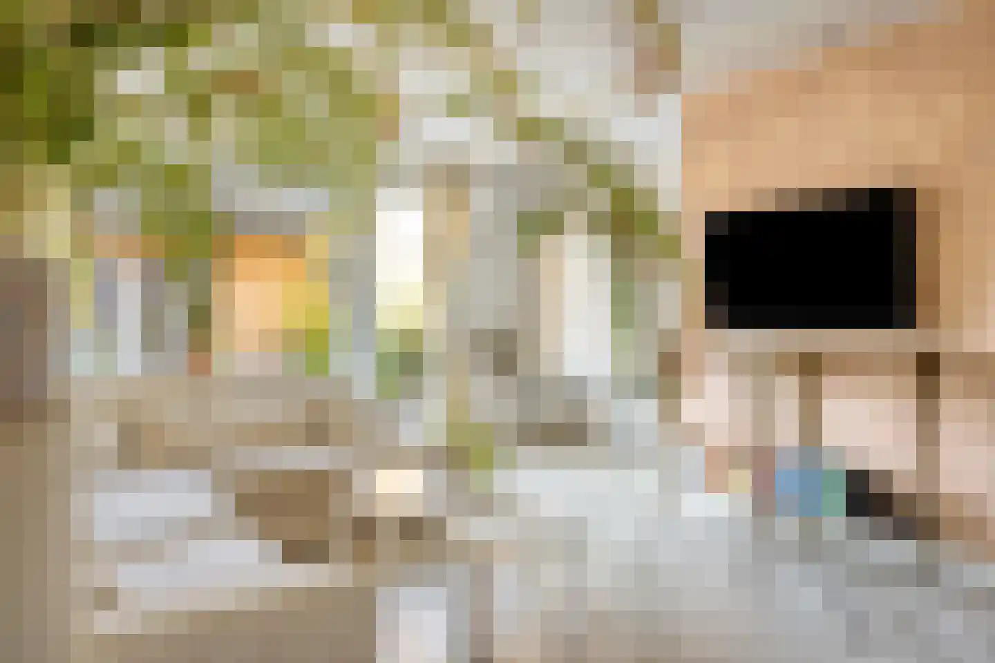 Eburonenstraat 5 Budel thumbnail 11