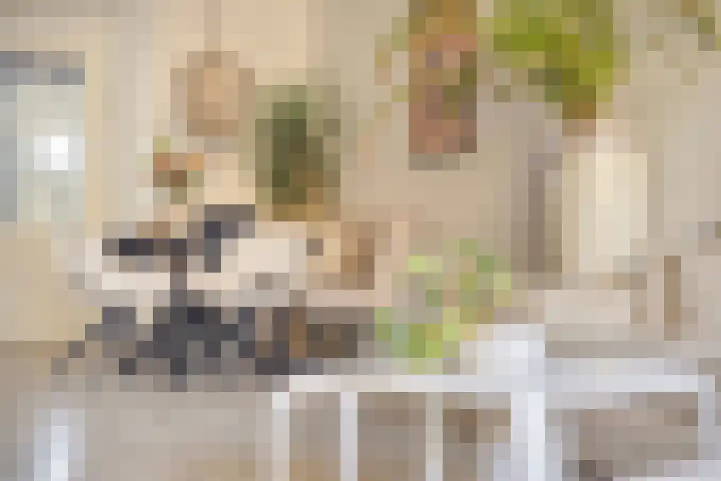 Eburonenstraat 5 Budel thumbnail 13