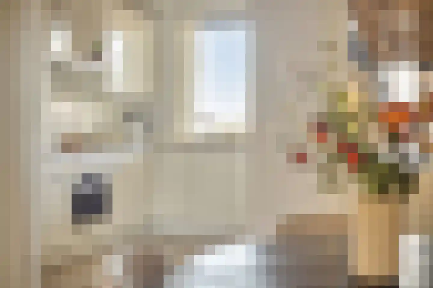 Eburonenstraat 5 Budel thumbnail 14