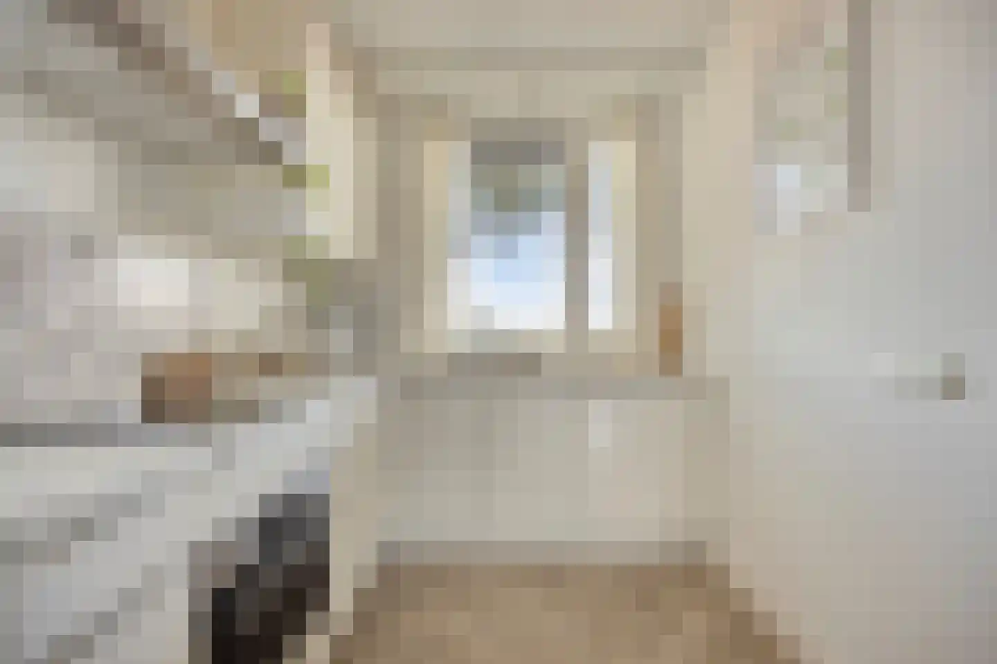 Eburonenstraat 5 Budel thumbnail 15