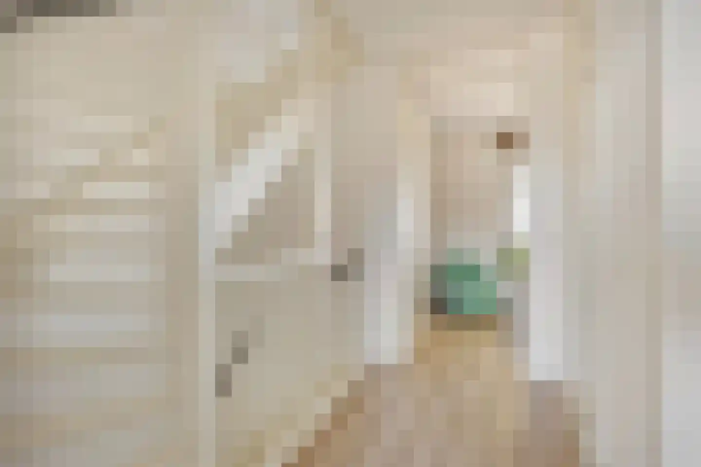 Eburonenstraat 5 Budel thumbnail 17