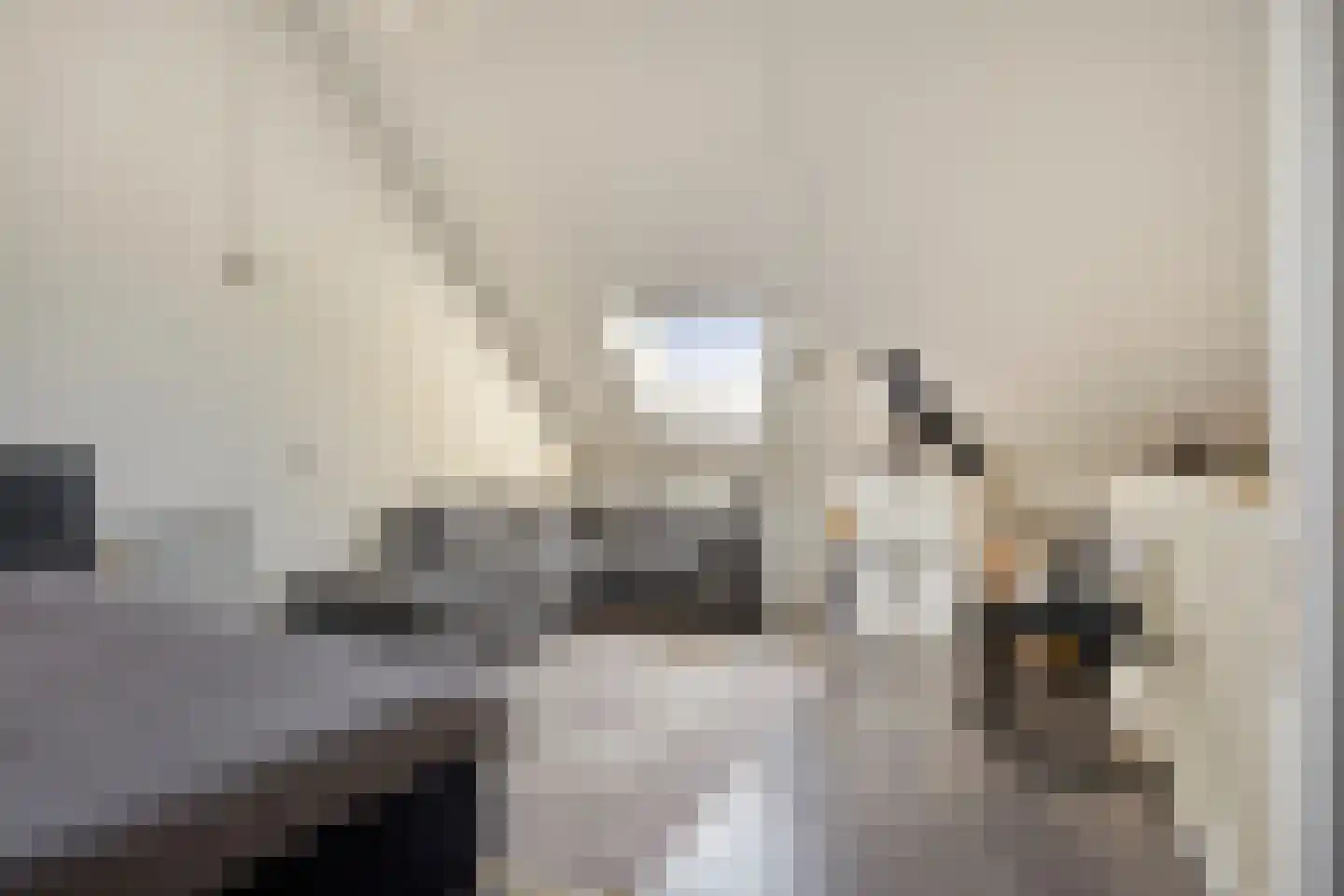 Eburonenstraat 5 Budel thumbnail 24
