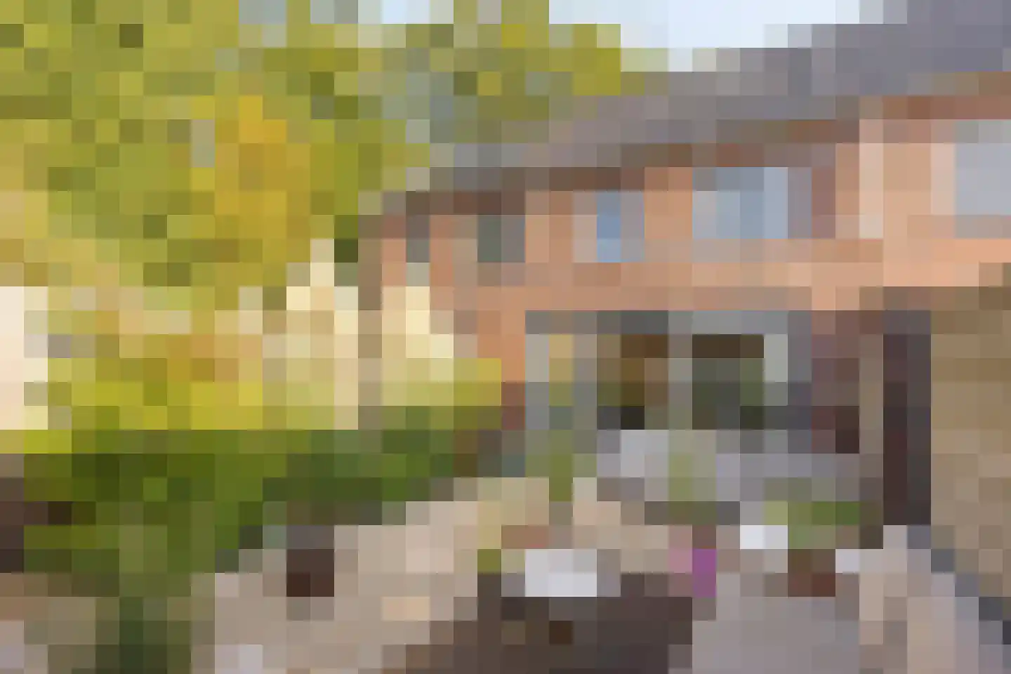 Eburonenstraat 5 Budel thumbnail 26