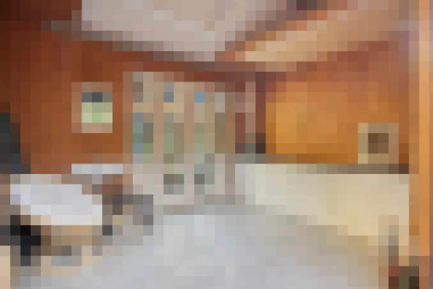 Eburonenstraat 5 Budel thumbnail 28