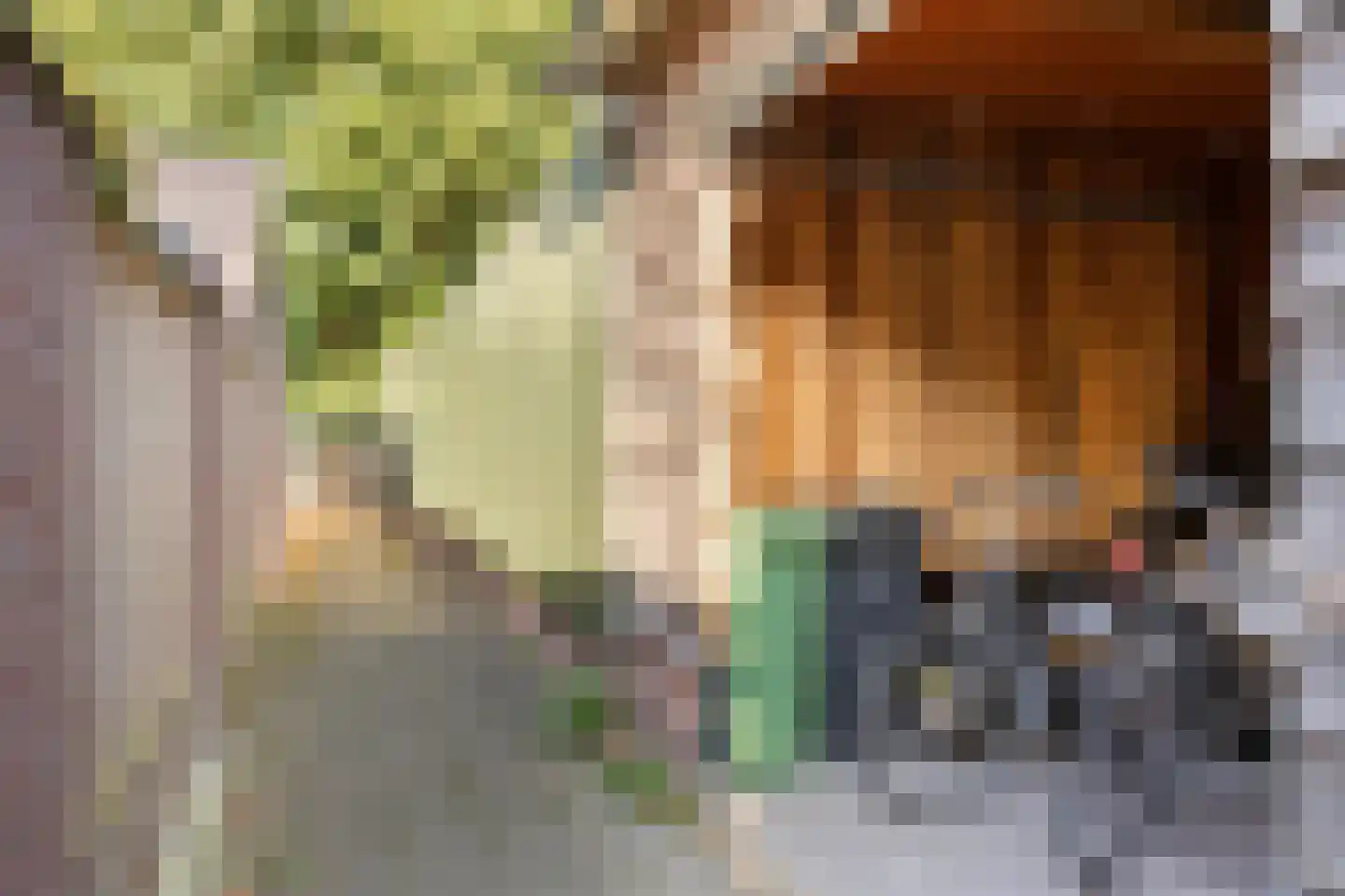 Eburonenstraat 5 Budel thumbnail 31