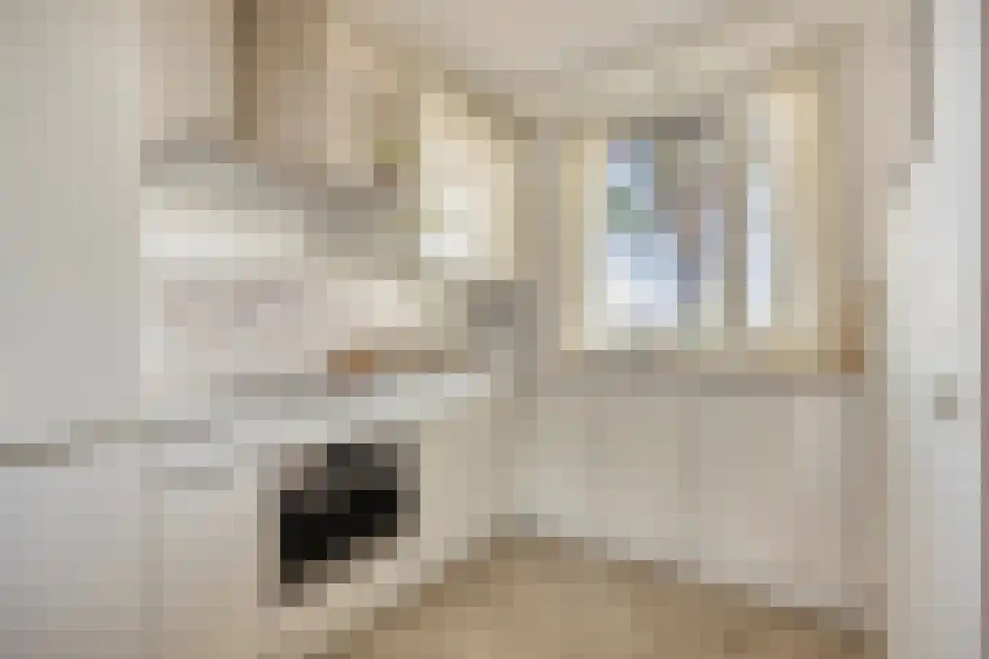 Eburonenstraat 5 Budel thumbnail 4
