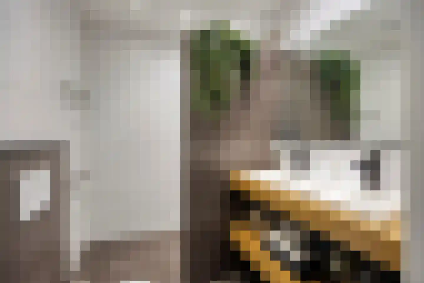 Eburonenstraat 5 Budel thumbnail 5