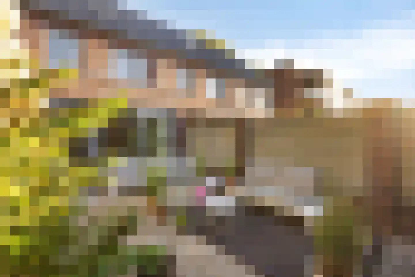 Eburonenstraat 5 Budel thumbnail 6