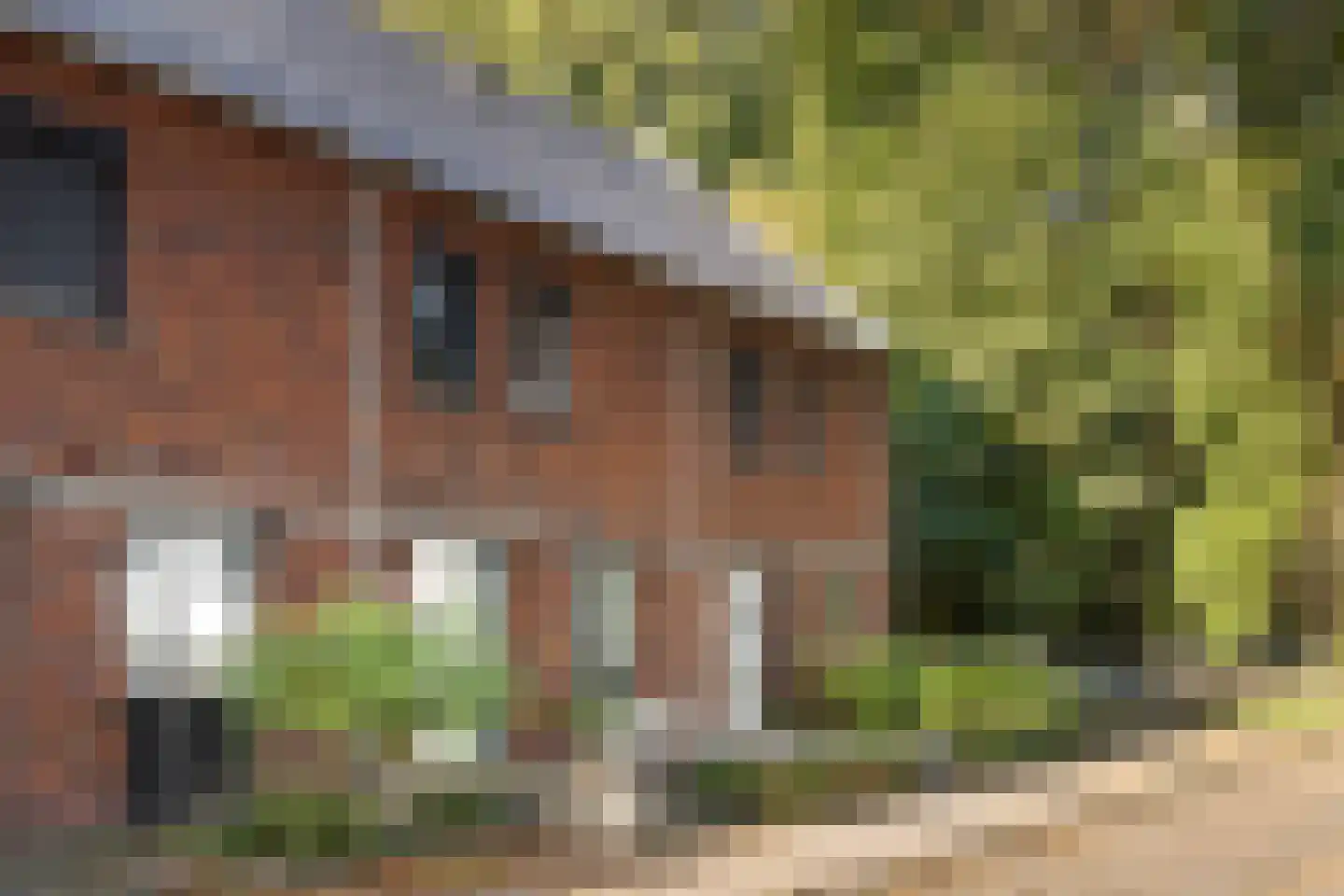 Eburonenstraat 5 Budel thumbnail 7