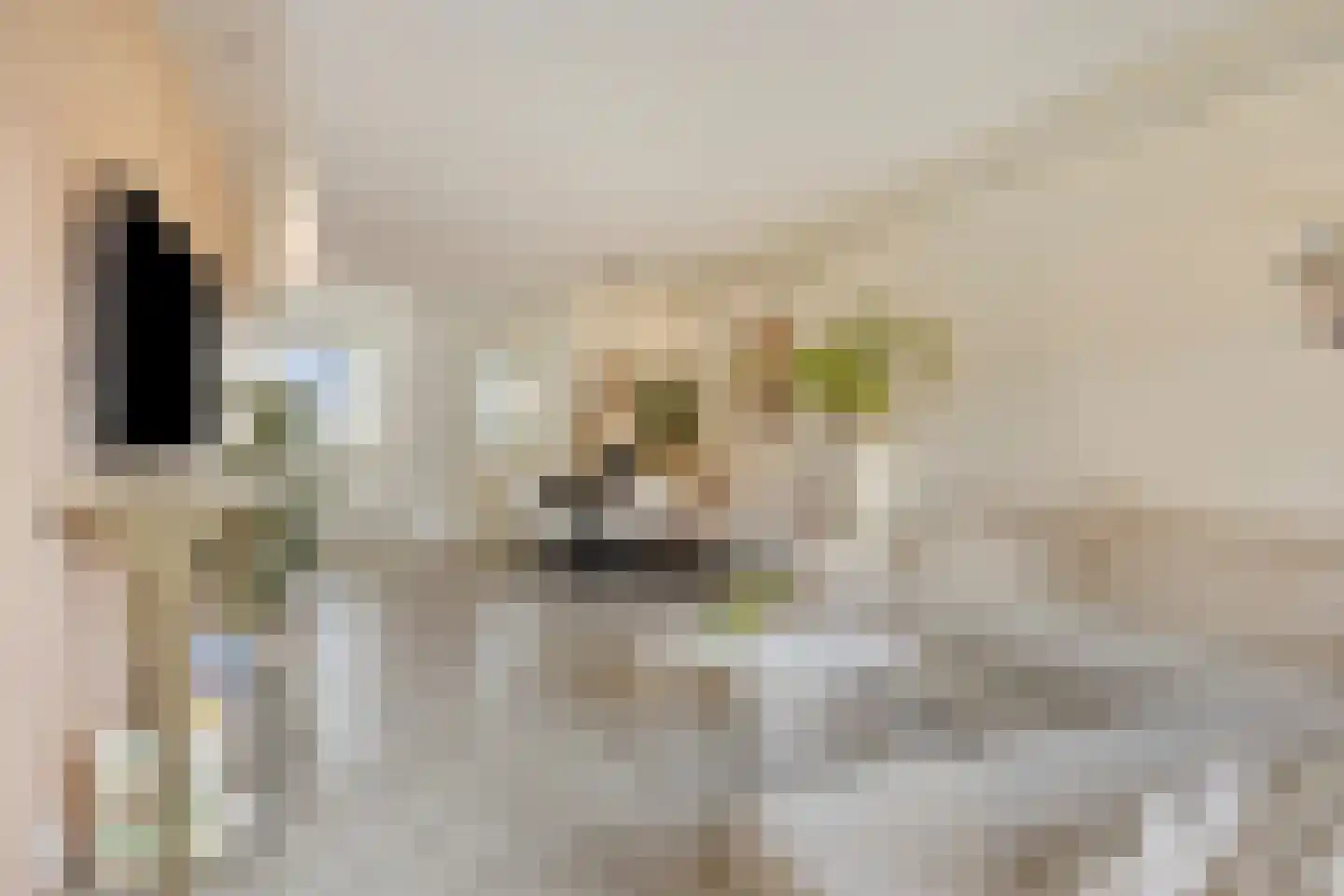 Eburonenstraat 5 Budel thumbnail 9