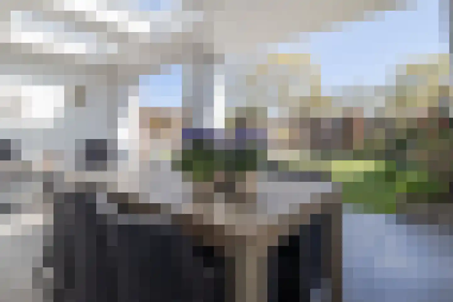 Eburonenstraat 62 Meerssen thumbnail 22