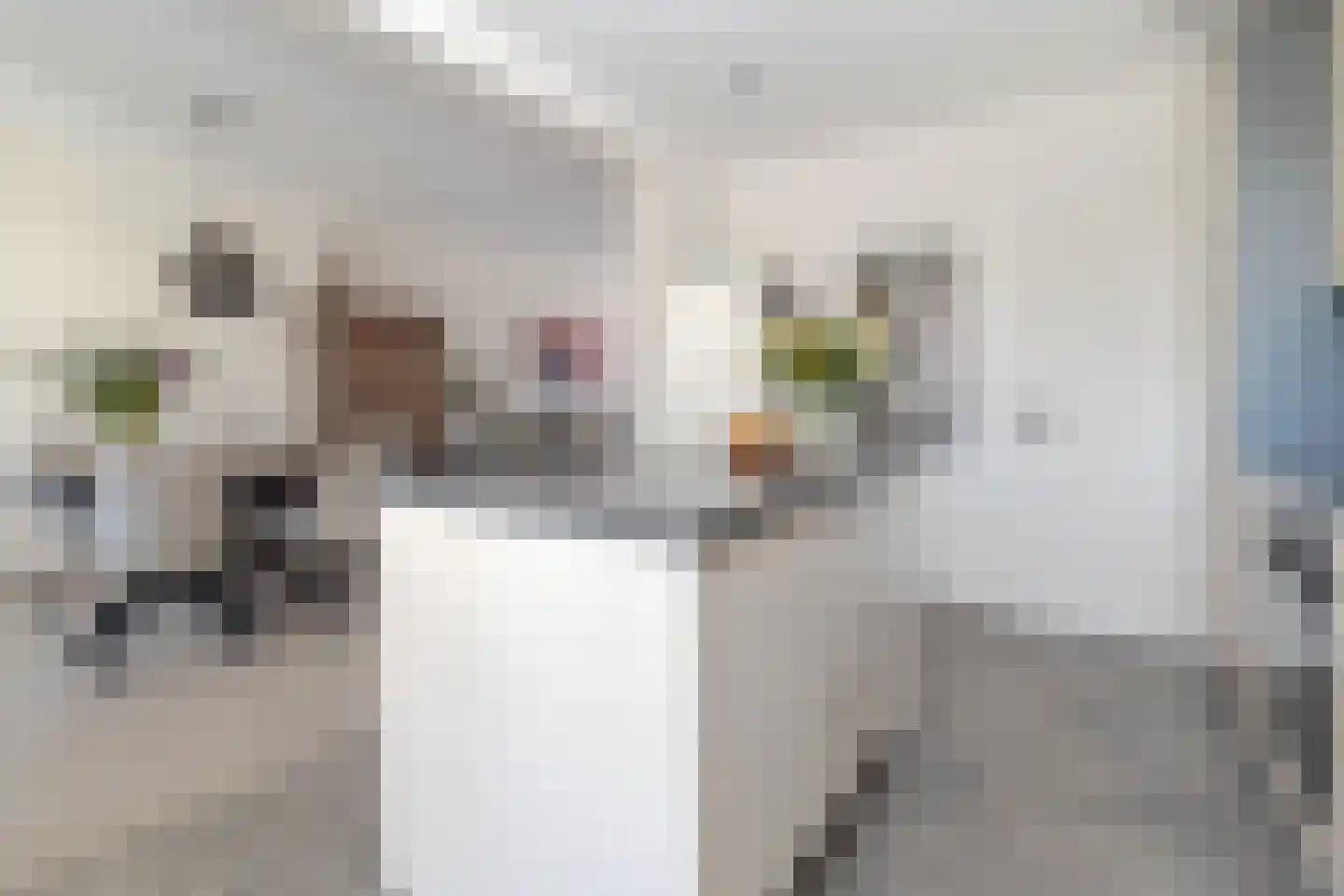Eburonenstraat 62 Meerssen thumbnail 9