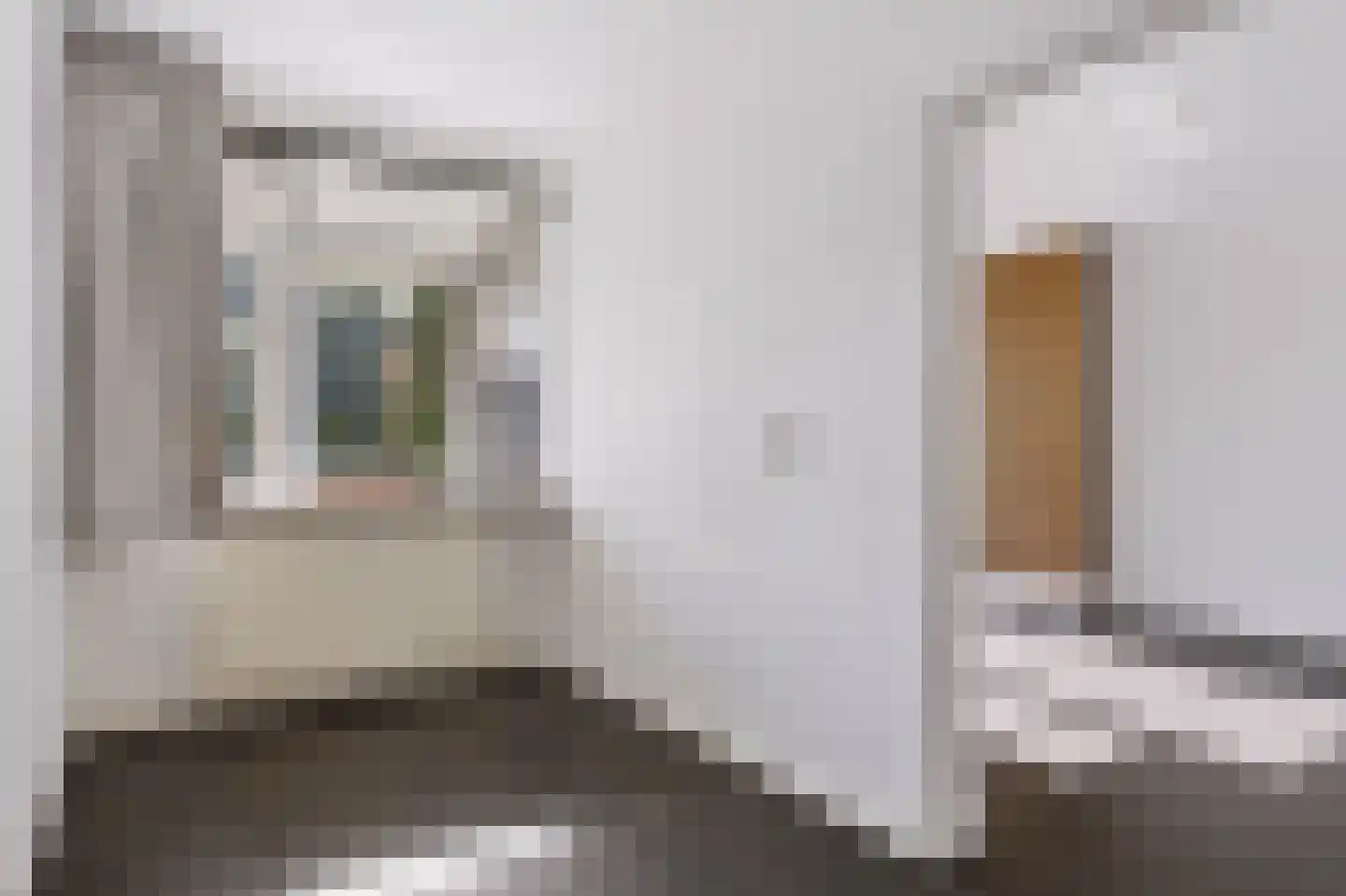 Eburonenstraat 77 Apeldoorn thumbnail 17
