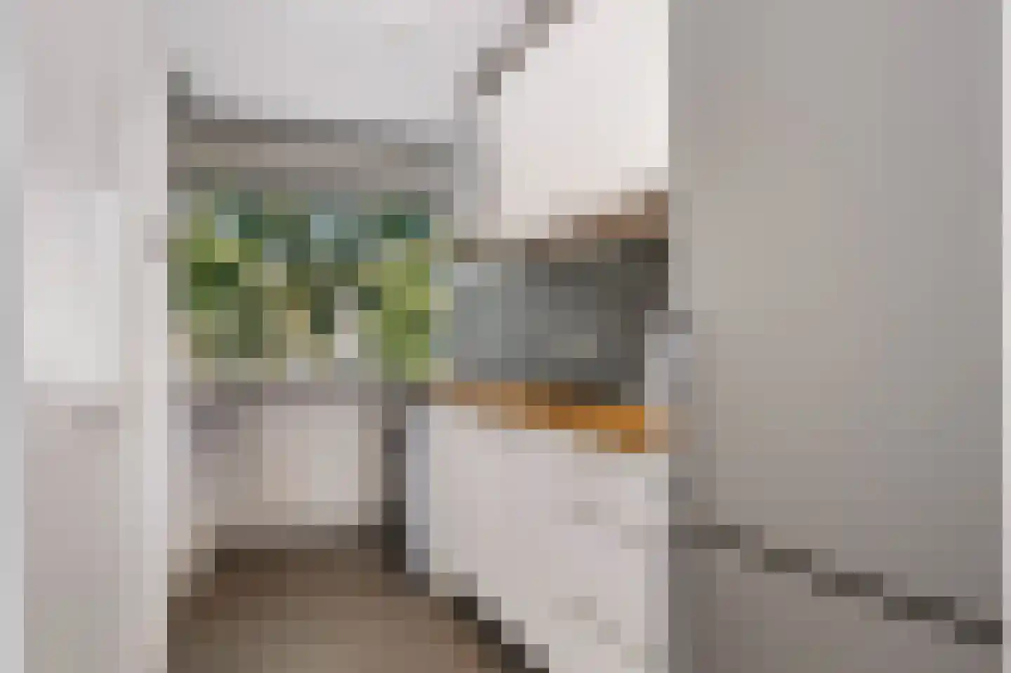 Eburonenstraat 77 Apeldoorn thumbnail 18