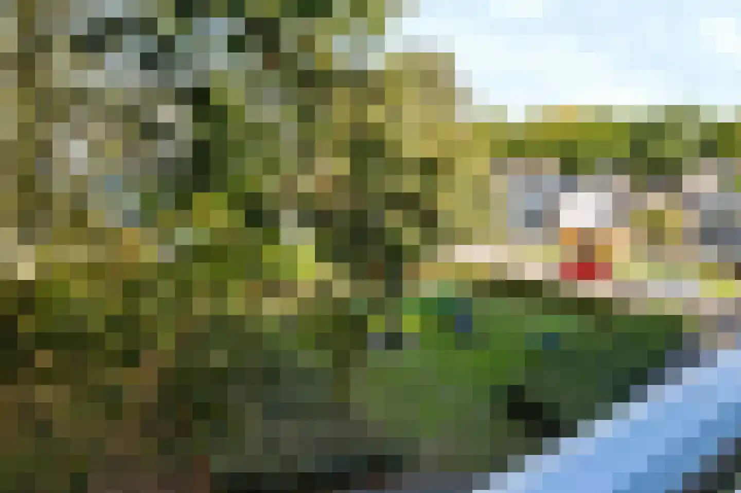 Eburonenstraat 77 Apeldoorn thumbnail 28
