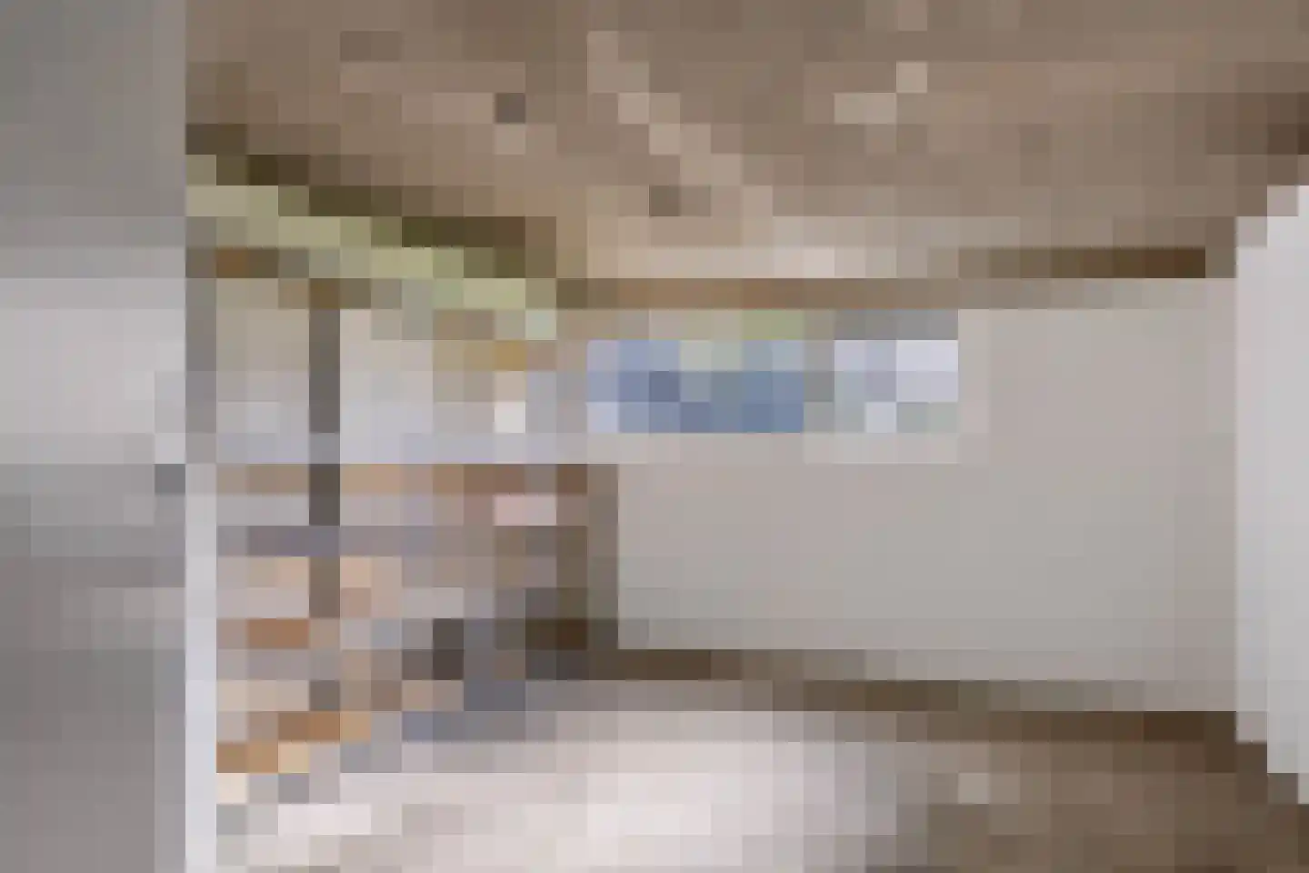 Eburonenstraat 77 Apeldoorn thumbnail 29