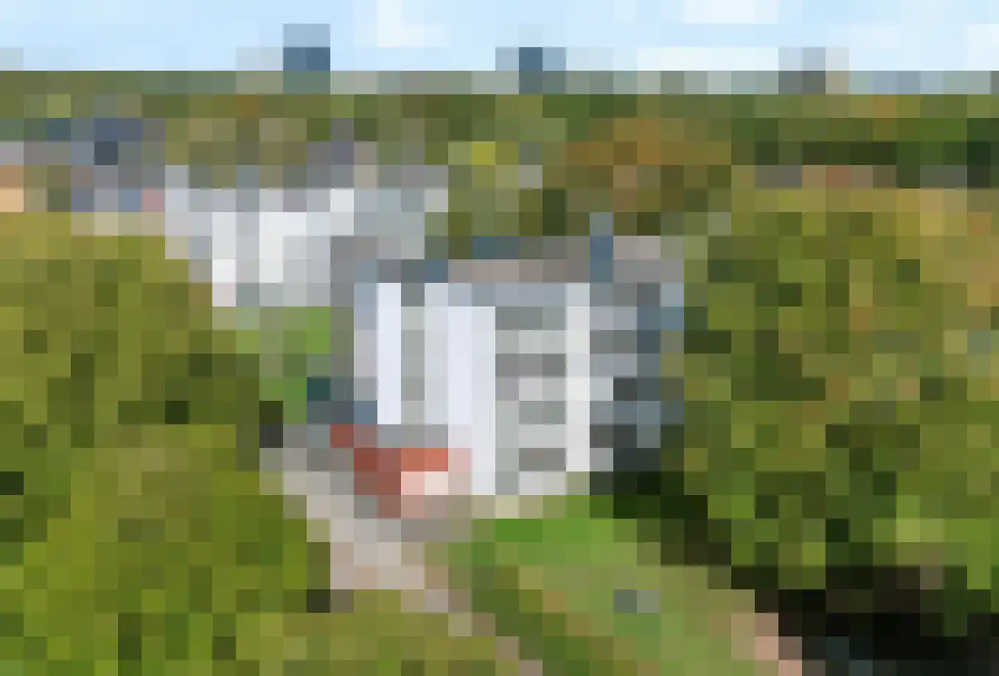 Eburonenstraat 77 Apeldoorn thumbnail 33