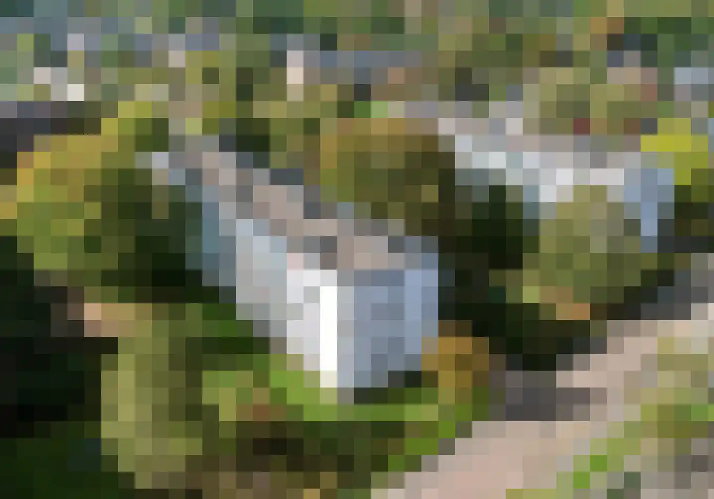Eburonenstraat 77 Apeldoorn thumbnail 34