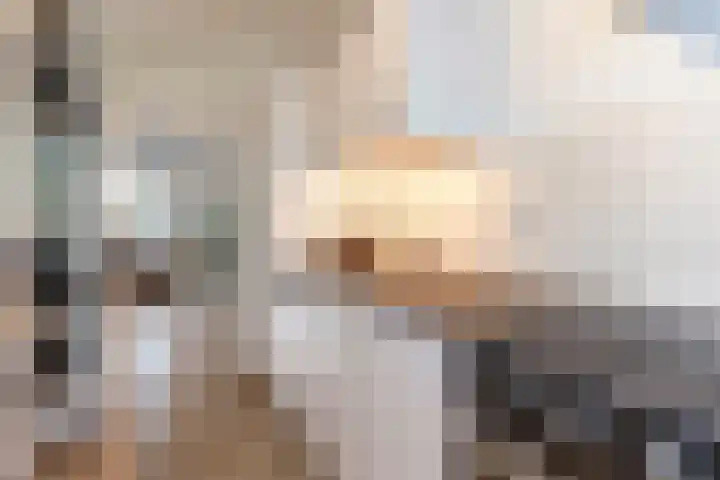 Eburonenstraat 79 Apeldoorn thumbnail 11