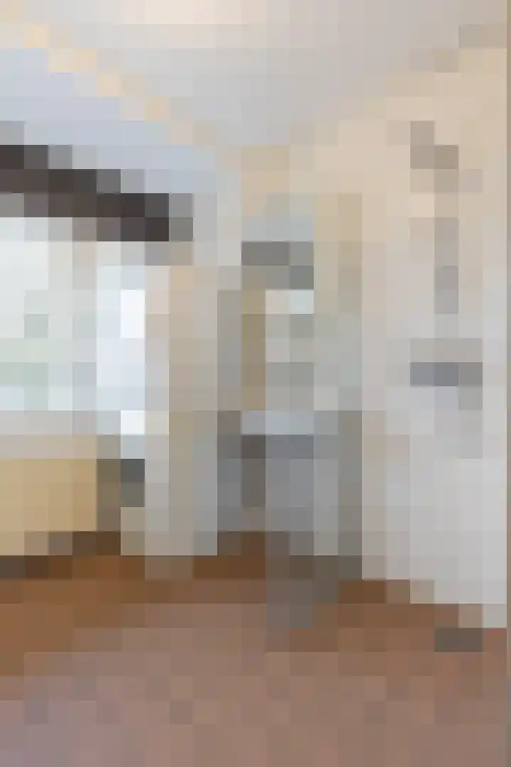 Eburonenstraat 79 Apeldoorn thumbnail 16