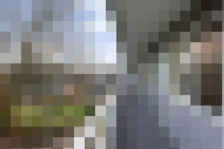 Eburonenstraat 79 Apeldoorn thumbnail 22