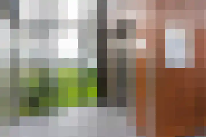 Eburonenstraat 79 Apeldoorn thumbnail 24