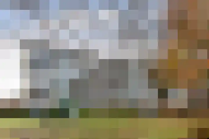 Eburonenstraat 79 Apeldoorn thumbnail 31